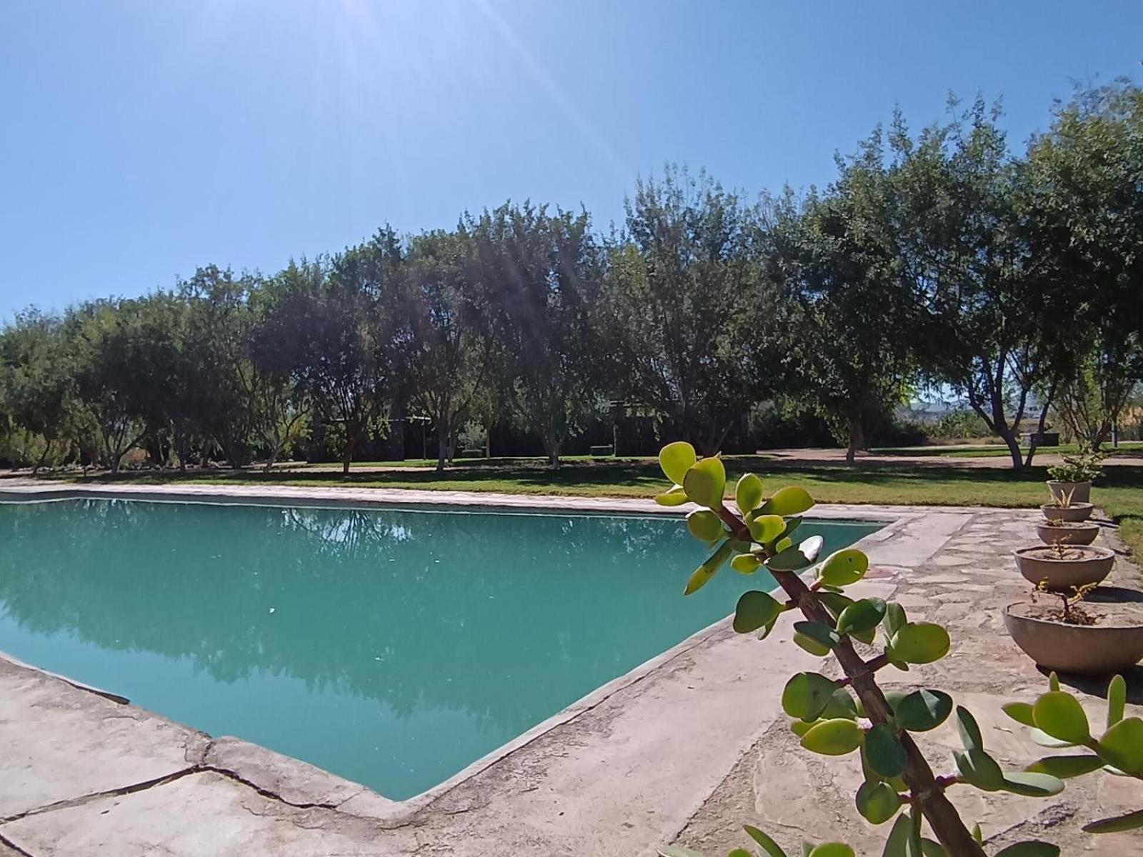 Kwelanga River Lodge Vioolsdrif Ngoại thất bức ảnh